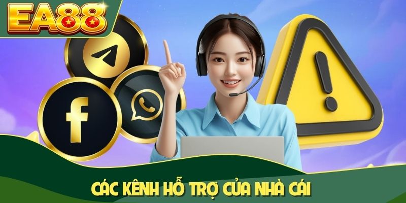 Các kênh hỗ trợ của nhà cái
