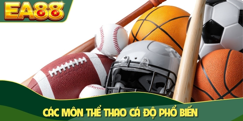 Các nền tảng sportsbook được yêu thích nhất Các nền tảng sportsbook được yêu thích nhất