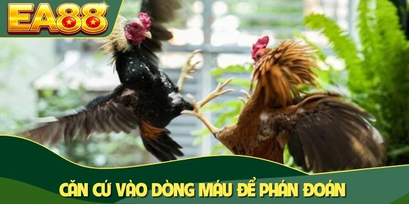 Căn cứ vào dòng máu để phán đoán