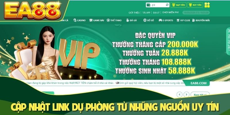 Cập nhật link dự phòng từ những nguồn uy tín