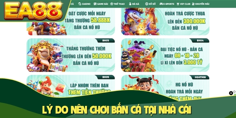 Lý do nên chơi bắn cá tại nhà cái Lý do nên chơi bắn cá tại nhà cái