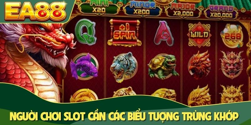 Người chơi slot cần các biểu tượng trùng khớp Người chơi slot cần các biểu tượng trùng khớp