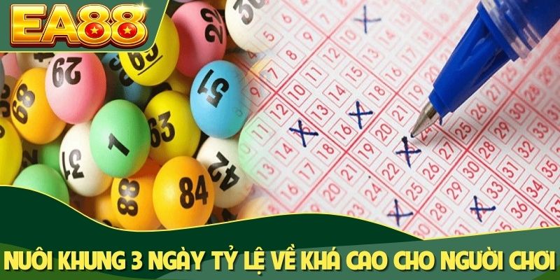 Nuôi khung 3 ngày tỷ lệ về khá cao cho người chơi