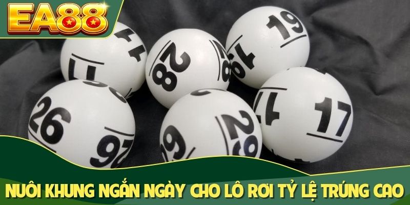 Nuôi khung ngắn ngày cho lô rơi tỷ lệ trúng cao