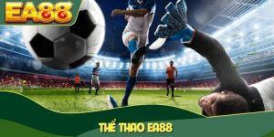 thể thao EA88