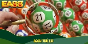 Bạch thủ lô