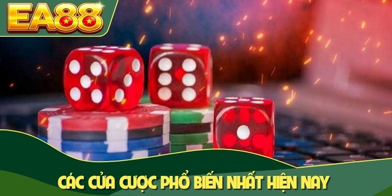 Các cửa cược phổ biến nhất hiện nay