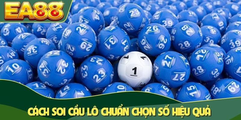 Bạch Thủ Lô - Mô Hình Đầu Tư Lô Đề X100 Vốn Hiệu Quả 3 Cách soi cầu lô chuẩn chọn số hiệu quả