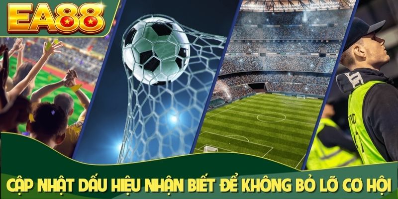 Cập nhật các dấu hiệu nhận biết để không bỏ lỡ cơ hội