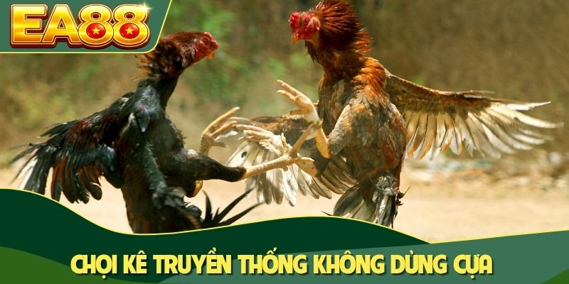 Đá Gà Mạng Là Gì? Đặc Điểm Và 3+ Mô Hình Quen Thuộc 2 Chọi kê truyền thống không dùng cựa