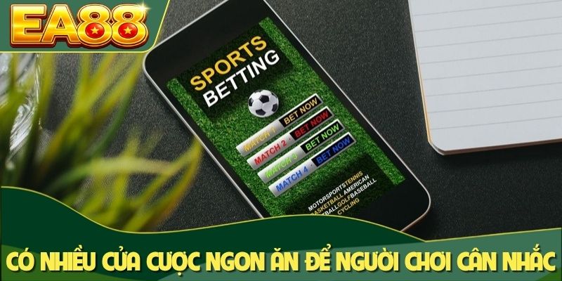 Có nhiều cửa cược ngon ăn để người chơi cân nhắc