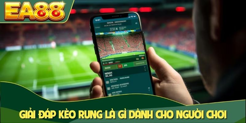Giải đáp kèo rung là gì dành cho người chơi
