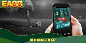 Kèo rung là gì