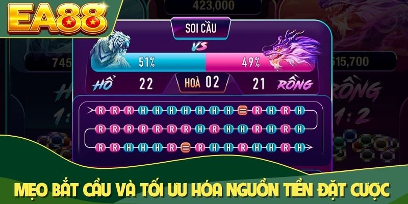 Vì Sao Cao Thủ Rồng Hổ Luôn Thắng? Bí Mật Nằm Ở Đây! 3 Mẹo bắt cầu và tối ưu hóa nguồn tiền đặt cược