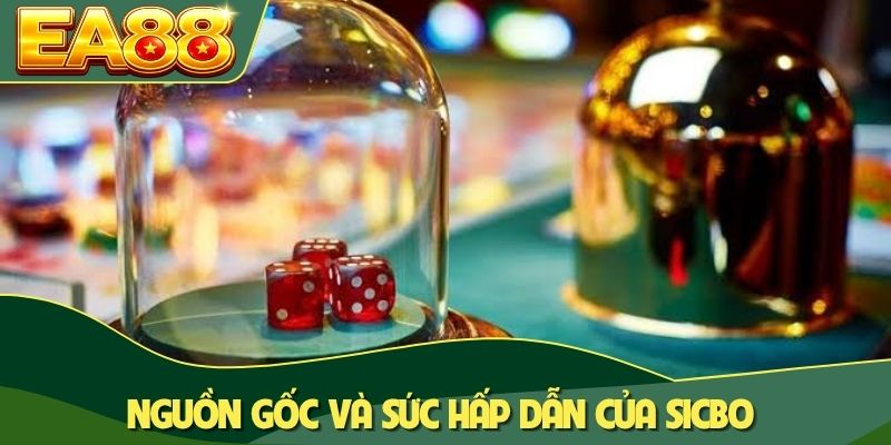 Nguồn gốc và sức hấp dẫn của Sicbo