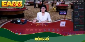 Rồng Hổ