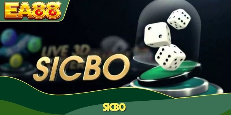 Sicbo Là Gì? Lịch Sử Và Điểm Lôi Cuốn Của Trò Đổ Xí Ngầu 1 Sicbo