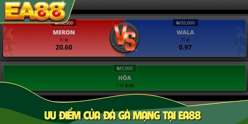 Đá Gà Mạng Là Gì? Đặc Điểm Và 3+ Mô Hình Quen Thuộc 3 Ưu điểm của đá gà mạng tại EA88