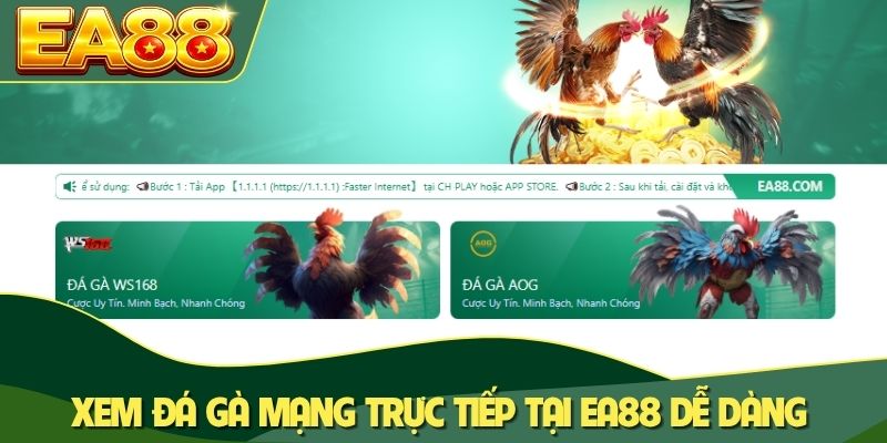 Đá Gà Mạng Là Gì? Đặc Điểm Và 3+ Mô Hình Quen Thuộc 1 Xem đá gà mạng trực tiếp tại EA88 dễ dàng